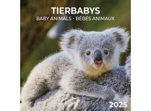 9783959294782 - Tierbabys 2025