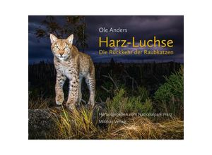 9783959541374 - Harz-Luchse Die Rückkehr der Raubkatzen - Ole Anders Gebunden