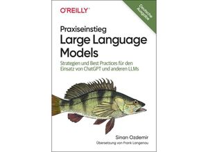 9783960092407 - Praxiseinstieg Large Language Models - Sinan Ozdemir Kartoniert (TB)