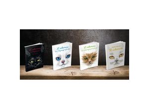 9783960744818 - Mit Zaubermaus in 100 Tagen um die Welt - Ingo Schorler Kartoniert (TB)