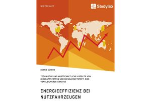 9783960950028 - Energieeffizienz bei Nutzfahrzeugen Technischer und wirtschaftlicher Aspekte von Biokraftstoffen und Dieselkraftstoff - Dennis Scherb Kartoniert (TB)