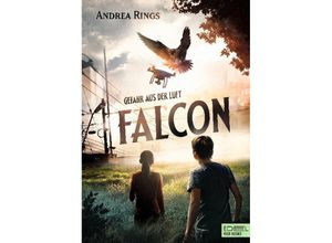 9783961291007 - Falcon - Andrea Rings Gebunden