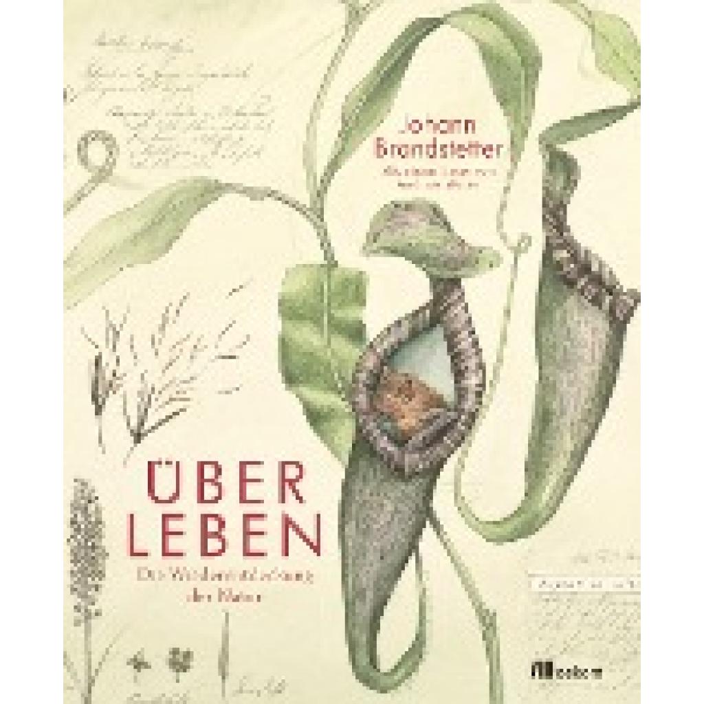 9783962381332 - Brandstetter Johann Über Leben