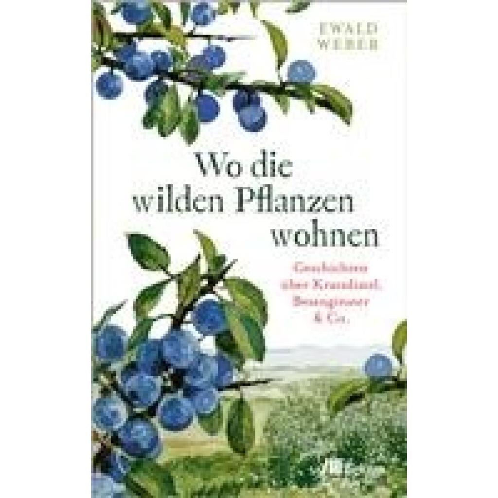 9783962383435 - Weber Ewald Wo die wilden Pflanzen wohnen