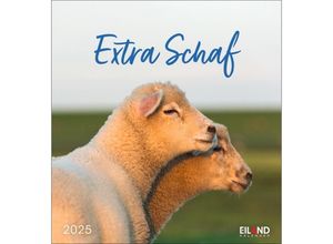 9783964023254 - Extra Schaf Postkartenkalender 2025