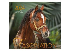 9783964120625 - Fascination 2024 m 1 Beilage