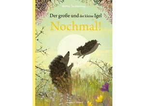 9783964281791 - Der große und der kleine Igel   Nochmal! - Britta Teckentrup Gebunden