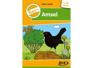 9783965200852 - Themenhefte   Themenheft Amsel 1 2 Klasse - Kathrin Zindler Geheftet