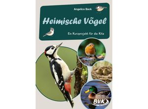 9783965201743 - Heimische Vögel - - Angelica Back Geheftet