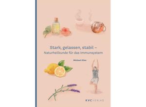 9783965620537 - Stark gelassen stabil - Michael Elies Kartoniert (TB)