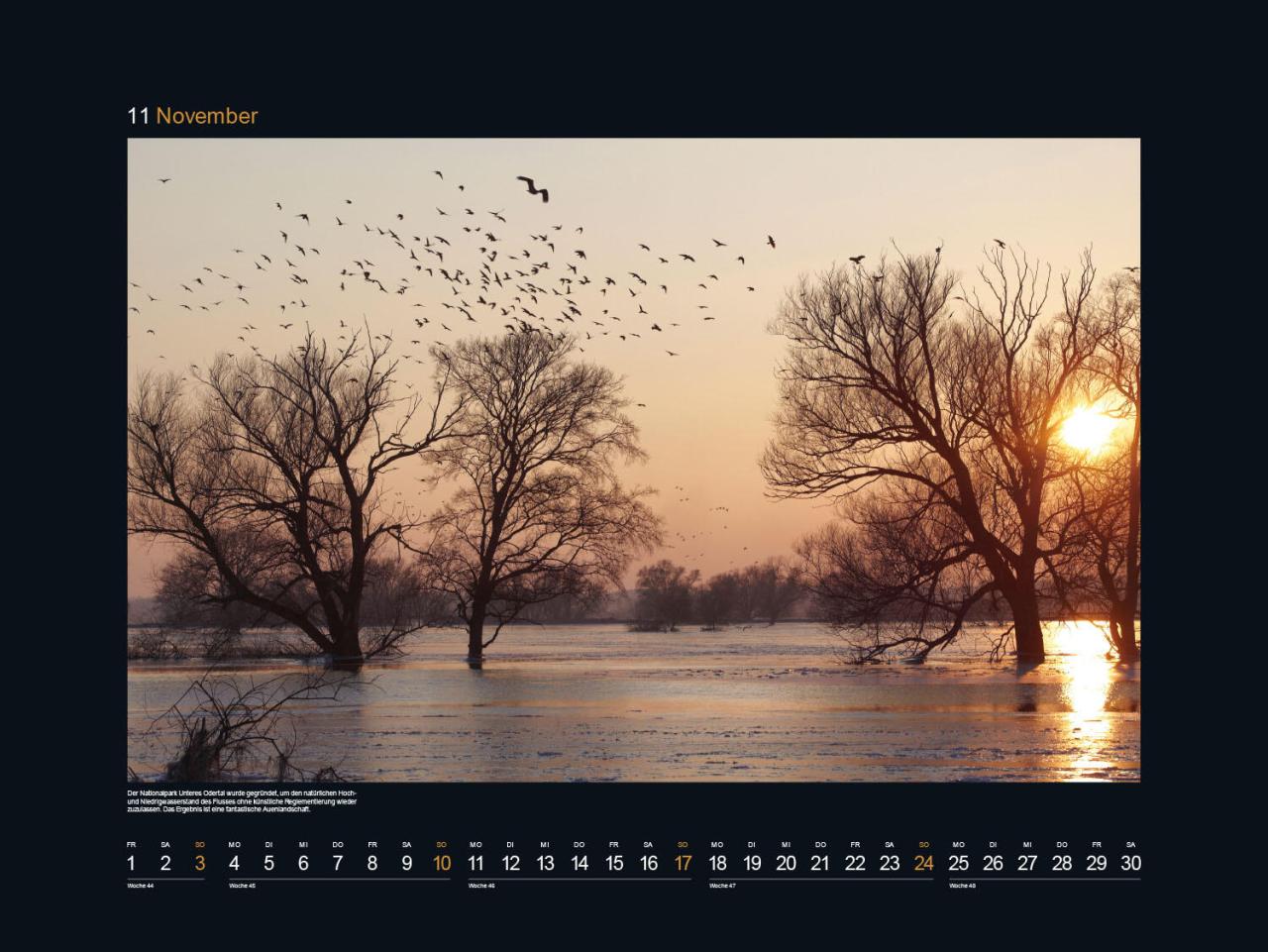 9783965912502 - KUNTH Monats-Wandkalender Wildnis Deutschland 2023 9783965912502