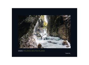 9783965913561 - Bildkalender 978-3-96591-356-1 Wildnis Deutschland 1 Monat   1 Seite 60x45cm 2025 9783965913561 KUNTH