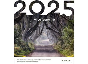 9783965913943 - Alte Bäume - KUNTH Postkartenkalender 2025