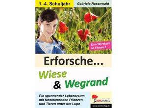 9783966241748 - Erforsche    Erforsche  Wiese & Wegrand - Gabriela Rosenwald Kartoniert (TB)