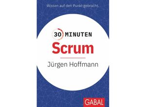 9783967390797 - 30 Minuten   30 Minuten Scrum - Jürgen Hoffmann Kartoniert (TB)