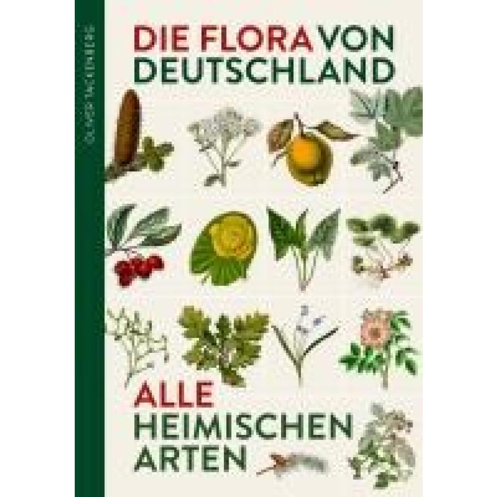 9783968490649 - Tackenberg Oliver Die Flora von Deutschland Alle heimischen Arten