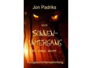 9783985280346 - Nach Sonnenuntergang - Jon Padriks Taschenbuch