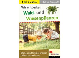 9783985582419 - Wir entdecken Wald- und Wiesenpflanzen - Gabriela Rosenwald Kartoniert (TB)