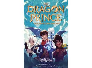 9783987430299 - Dragon Prince - Der Prinz der Drachen Buch 2 Himmel (Roman) - Aaron Ehasz Melanie McGanney Ehasz Kartoniert (TB)