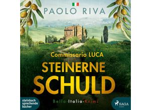 9783987590450 - Steinerne Schuld1 Audio-CD MP3 - Paolo Riva (Hörbuch)