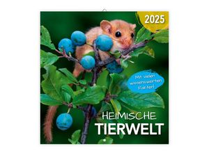 9783988021915 - Broschürenkalender Heimische Tierwelt 2025