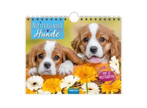 9783988022486 - Notizkalender Querformat Notizkalender Hunde 2025 mit 12 Postkarten