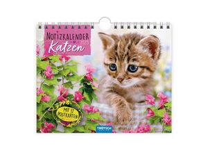 9783988022493 - Notizkalender Querformat Notizkalender Katzen 2025 mit 12 Postkarten