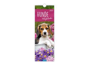 9783988022554 - Streifenkalender Hunde 2025 Notizkalender