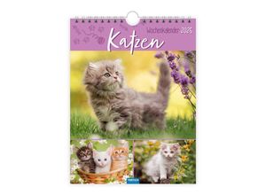 9783988022707 - Wochenkalender zum Hängen Katzen 2025