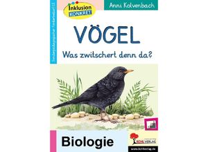 9783988410344 - Vögel - Anni Kolvenbach Kartoniert (TB)