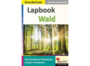 9783988410405 - Lapbook Wald - Gabriela Rosenwald Kartoniert (TB)