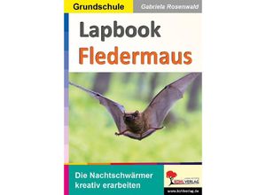 9783988410443 - Lapbook Fledermaus - Gabriela Rosenwald Kartoniert (TB)