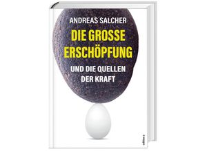 9783990016282 - Die große Erschöpfung - Andreas Salcher Gebunden