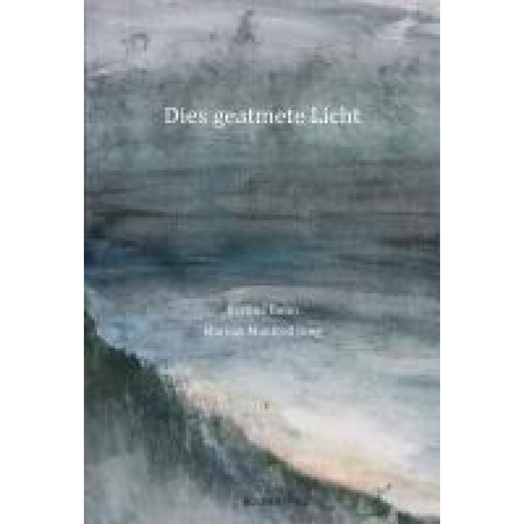 9783990187111 - Jung Markus Manfred DIES GEATMETE LICHT   DES GSCHNUPFTI LIECHT