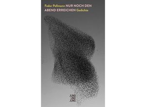 9783990274002 - Nur noch den Abend erreichen - Fedor Pellmann Gebunden