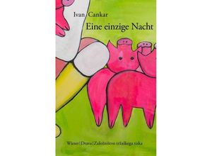 9783990296165 - Eine einzige Nacht - Ivan Cankar Gebunden