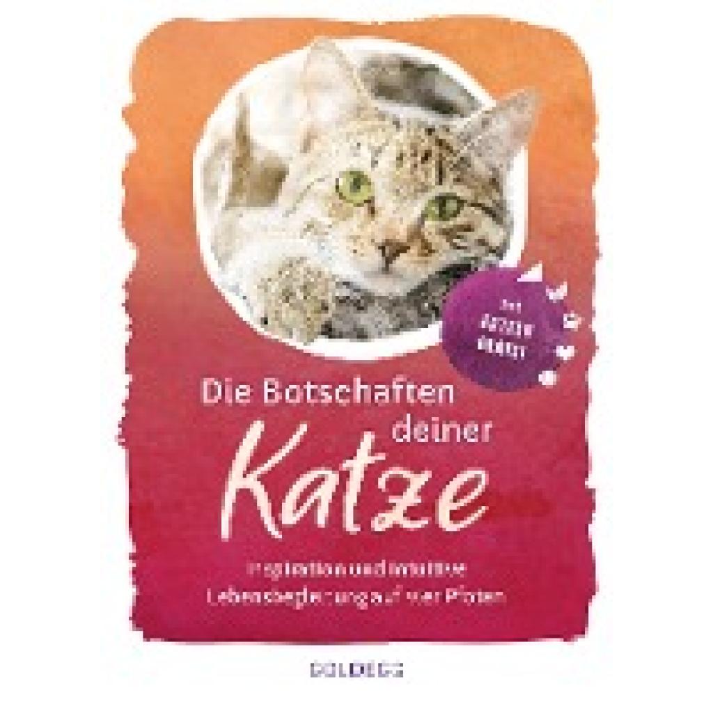 9783990601860 - Das Katzenorakel - Die Botschaften deiner Katze