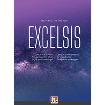 9783990692028 - Excelsis