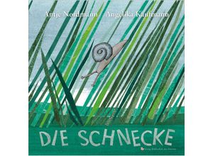 9783991261407 - Die Schnecke - Antje Nordmann Gebunden