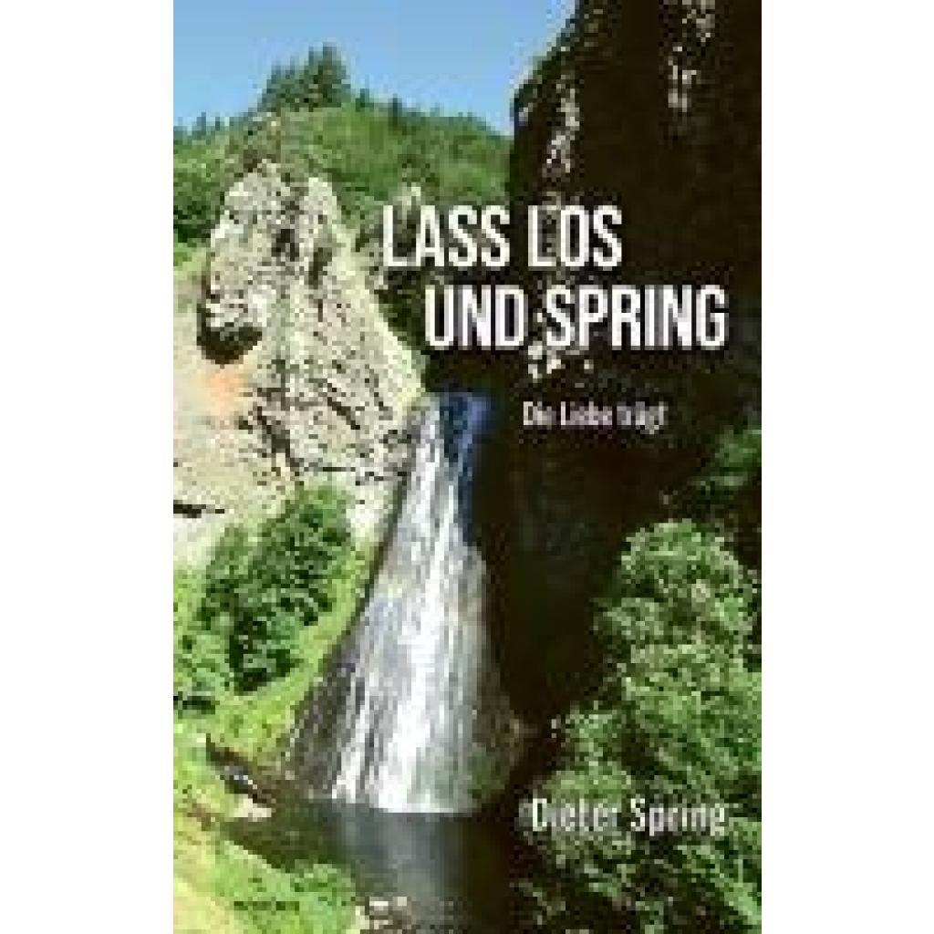9783991305224 - Spring Dieter Lass los und spring