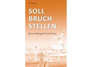 9783991393566 - Sollbruchstellen - R Habach Taschenbuch