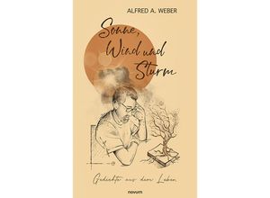 9783991464280 - Sonne Wind und Sturm - Alfred A Weber Kartoniert (TB)