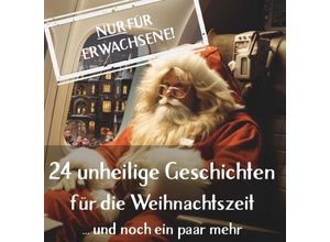 9783991528104 - 24 unheilige Geschichten für die Weihnachtszeit - Die Weihnachtselfen Kartoniert (TB)