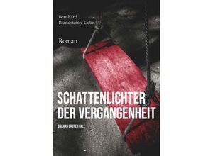 9783991528623 - Schattenlichter der Vergangenheit - Bernhard Brandstätter Colin Kartoniert (TB)