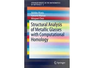 9784431560548 - Structural Analysis of Metallic Glasses with Computational Homology - Akihiko Hirata Kaname Matsue Mingwei Chen Kartoniert (TB)