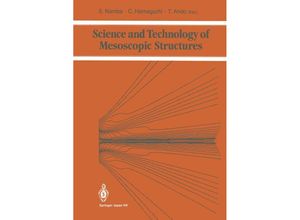 9784431669241 - Science and Technology of Mesoscopic Structures Kartoniert (TB)