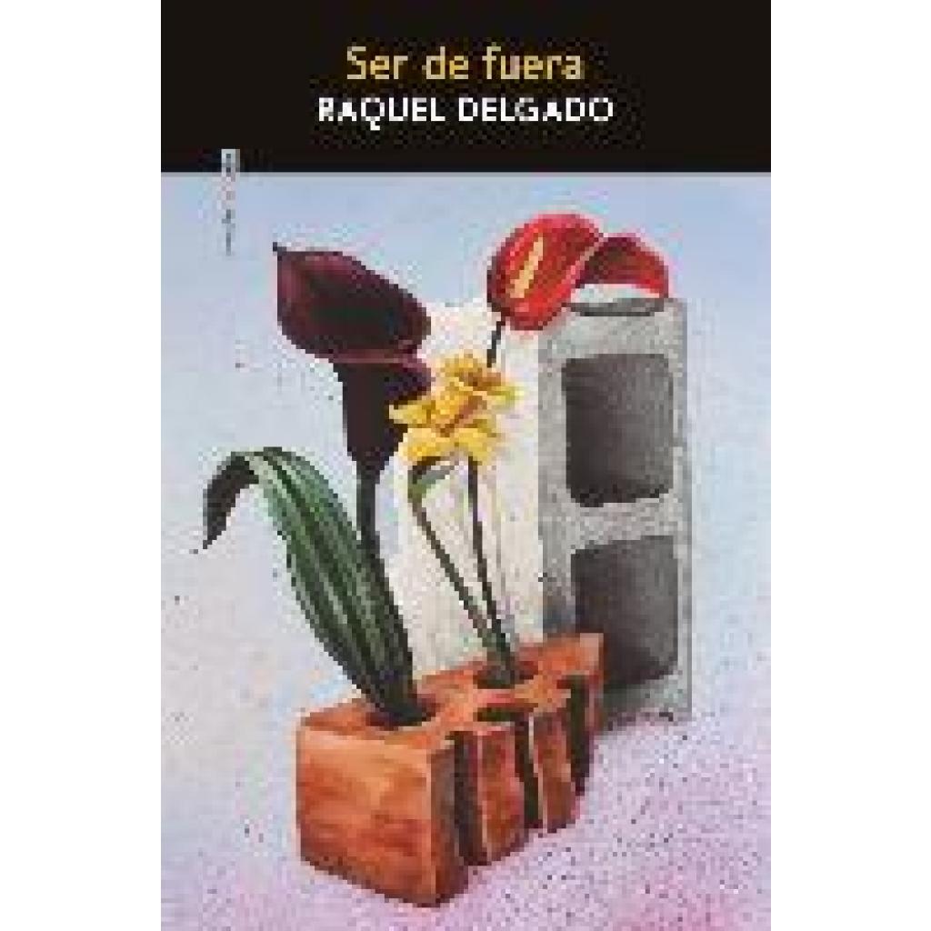 9788410249004 - Delgado Raquel Ser de fuera