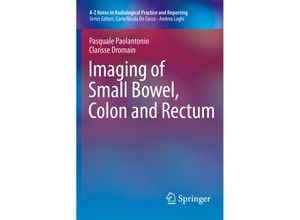 9788847054882 - A-Z Notes in Radiological Practice and Reporting   Imaging of Small Bowel Colon and Rectum - Pasquale Paolantonio Clarisse Dromain Kartoniert (TB)