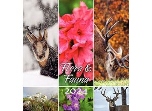 9788887531534 - Tiere Blumen 2024 Postkartenkalender Querformat