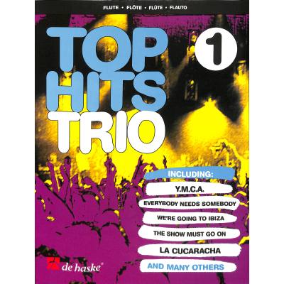 9789043112154 - Top Hits   Top Hits TrioBd1 - Robert van Beringen Geheftet